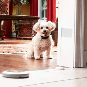 We install and service Indoor Pet Fence Containment Systems.