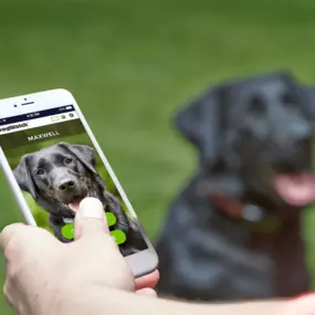 The SmartFence App - The Next Generation of Pet Fencing.