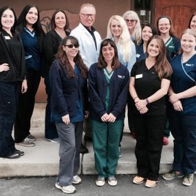 The experienced and caring team of VCA Adobe Animal Hospital.