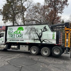 Whether you need one tree removed or an entire lot cleared , call the tree removal experts at JB Tree Care & Landscaping. Every customer’s tree removal needs are unique, so after our initial consultation, we’ll work with you to develop the best tree removal plan for your situation.