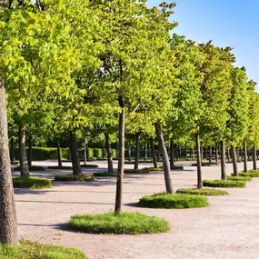 At JB Tree Care & Landscaping, we provide large property tree care and landscape services for commercial and residential buildings. Our services include shrub pruning and trimming, branch removal, mulch bed installation, and much more.