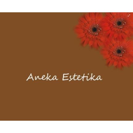 Logótipo de Aneka Estetica