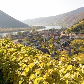 Gasthof Goldenes Schiff - Wachau