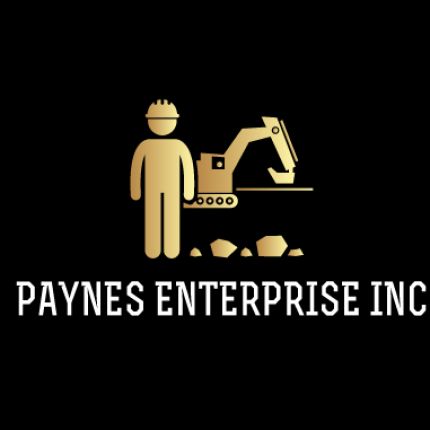 Logo da PAYNES ENTERPRISE INC
