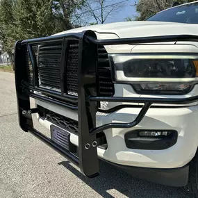 Grille Guards