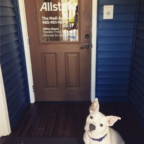 Sully ready to save you money and get you better coverage at The Hadi Agency! This was our 1st location in Abita Springs but we have since moved to Mandeville