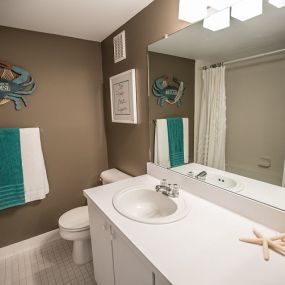 Large Bathroom