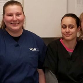 The experienced and caring team of VCA Forest South Animal Hospital!
