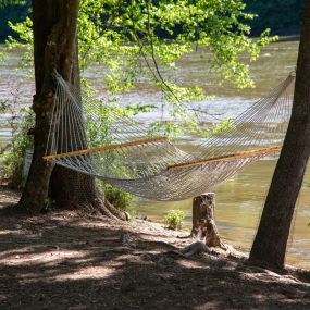 Bild von Walton On The Chattahoochee