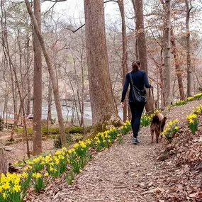 Bild von Walton On The Chattahoochee