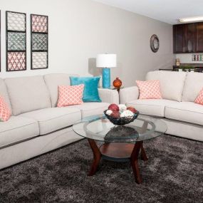 Lush Wall-to-Wall Carpeting in the Living Room