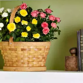 Nothing says 'thank you' like a gift of flowers from a local florist! Choose one of our appropriate bouquets below!
