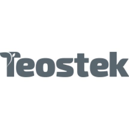 Logo de Teostek