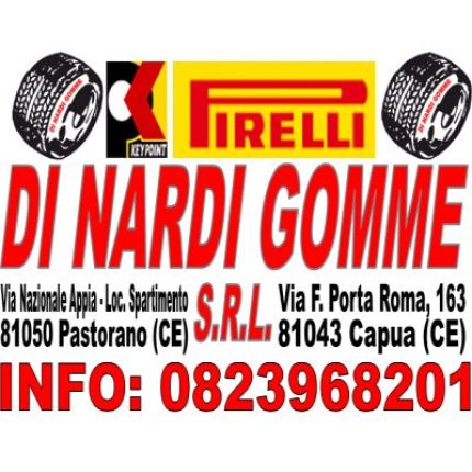 Logotipo de Di Nardi Gomme