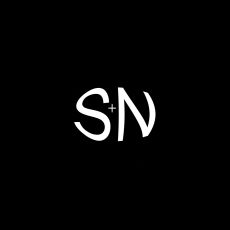 Bild/Logo von S&N Fenstersanierung in Hamburg
