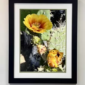 Bild von Gallagher's Gallery and Framing