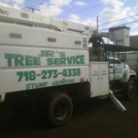 Bild von JR'S Tree Service