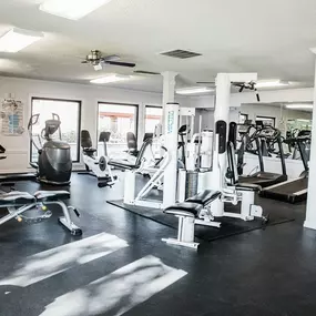 Gym Area
