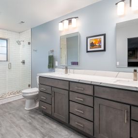 2023 DreamAwards winning master bathroom!