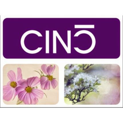 Logo van Cinc Estética