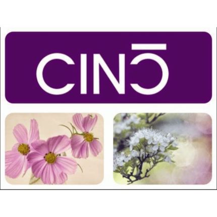 Logo da Cinc Estética