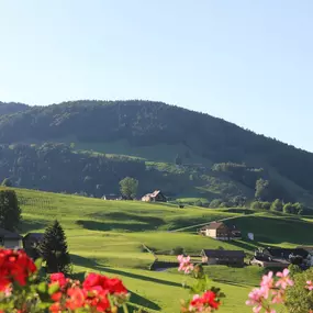 Bild von Hotel und Speiserestaurant Alpenblick