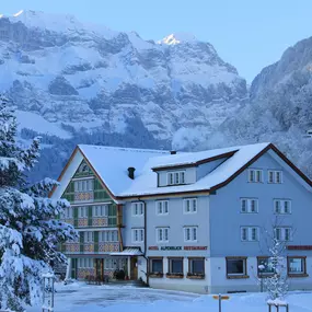 Bild von Hotel und Speiserestaurant Alpenblick