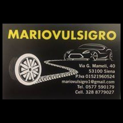 Logo van Mariovulsigro Gommista