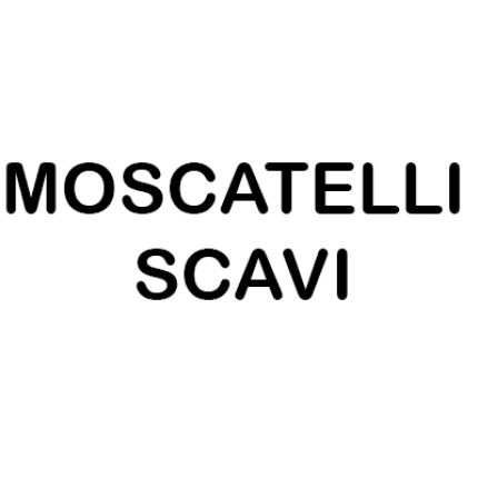 Logo von Moscatelli scavi
