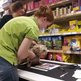 Dierenspeciaalzaak Het Molentje