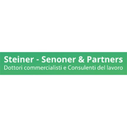 Logo fra Steiner - Senoner E Partners