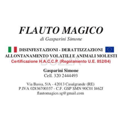 Logo van Flauto Magico