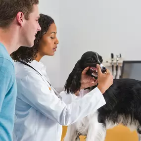 Bild von Banfield Pet Hospital