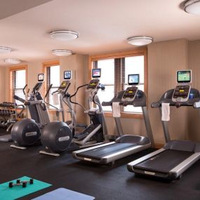 Millennium Hotel Knickerbocker Chicago - Fitness Center