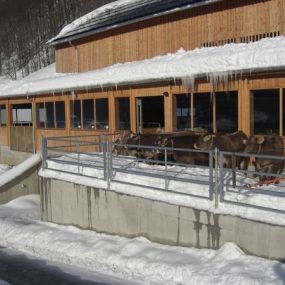 Panoramahütten Sonderdach in 6870 Bezau