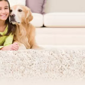 We have been serving the Thousand Oaks, Westlake Village, and Agoura Hills area since 1985, so you can trust that we are the right people for all of your upholstery cleaning needs.