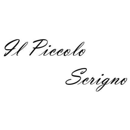 Logo fra Il Piccolo Scrigno