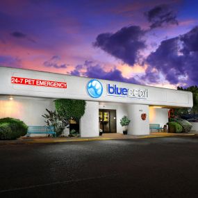 Bild von BluePearl Pet Hospital