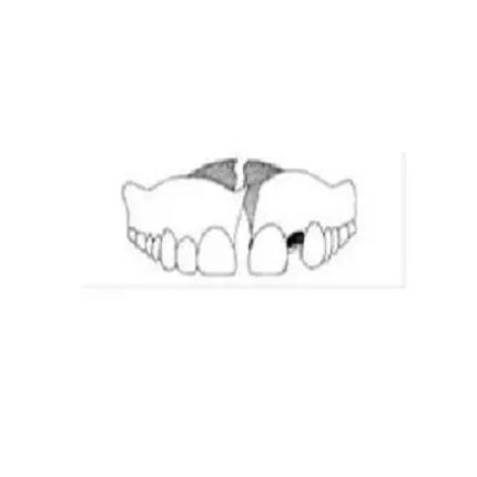 Logo van De Sagher Pierre - Réparation de dentiers