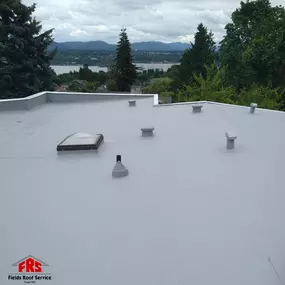 60mil TPO Roof - Residential