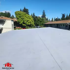 Commercial TPO Reroof