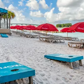 Bild von Dolphin Sands Clearwater Beach, Ascend Hotel Collection