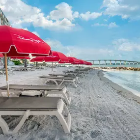Bild von Dolphin Sands Clearwater Beach, Ascend Hotel Collection