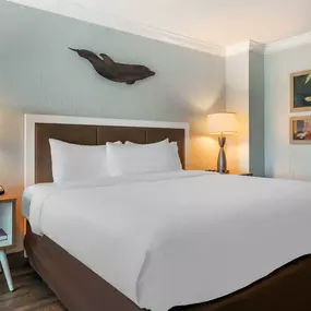 Bild von Dolphin Sands Clearwater Beach, Ascend Hotel Collection