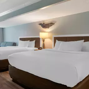 Bild von Dolphin Sands Clearwater Beach, Ascend Hotel Collection