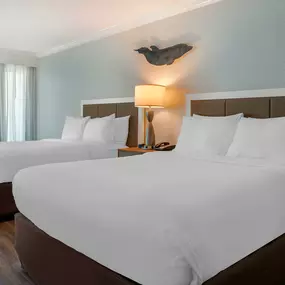 Bild von Dolphin Sands Clearwater Beach, Ascend Hotel Collection
