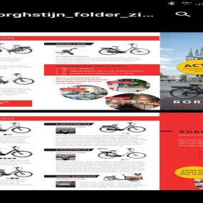 Borghstijn Souvenirs & E-Bikes