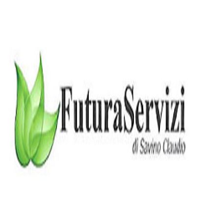 Logo from Impresa di Pulizie Futura