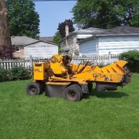 Birchwood Services is a highly skilled professional tree service company in the Northwest Suburbs. We focus on tree removal and the removal of tree stumps.