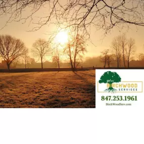 Bild von Birchwood Tree Services